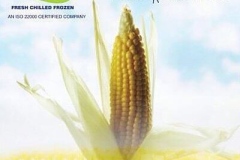 frozen-sweet-corn-large